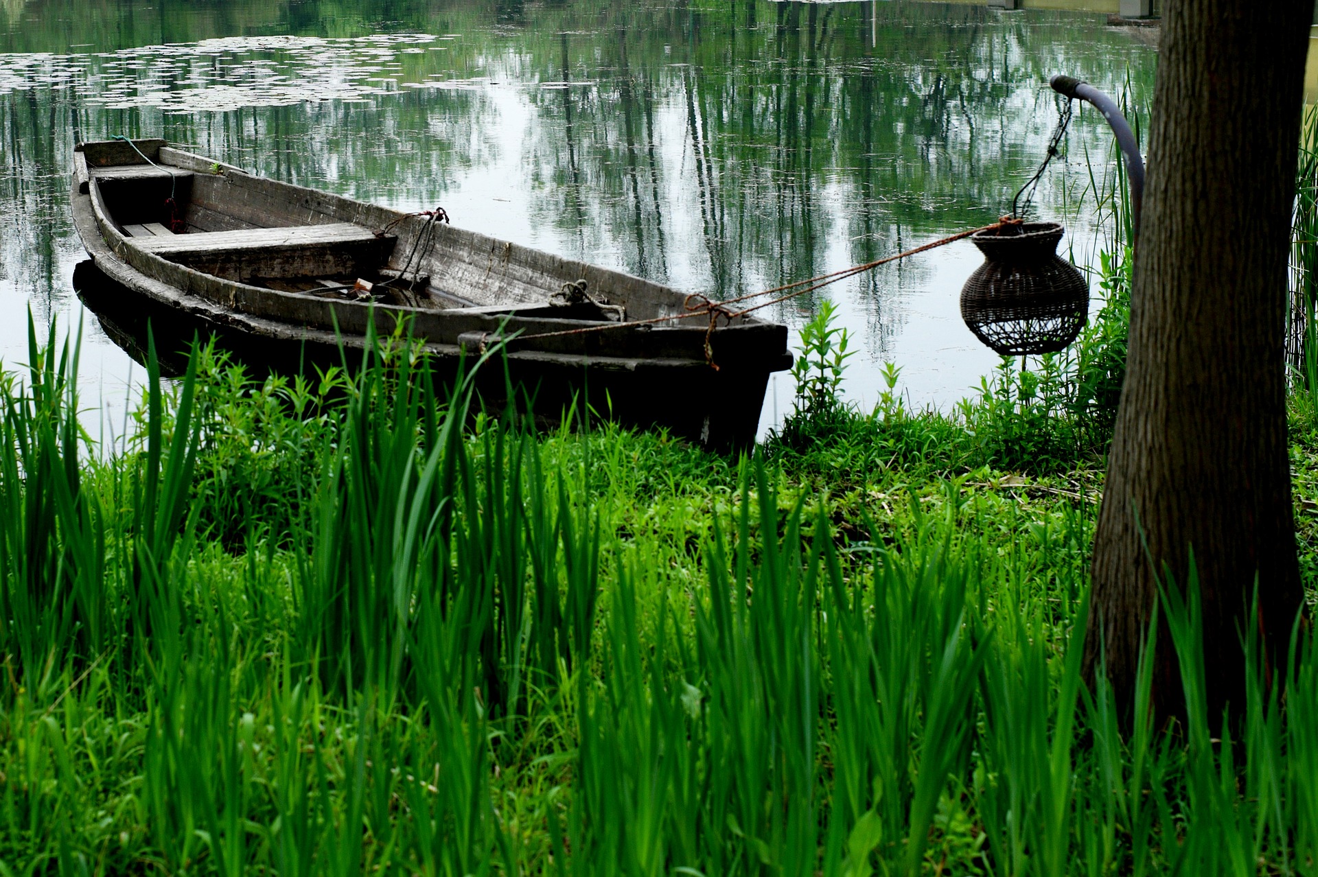 Poconé - Mato Grosso