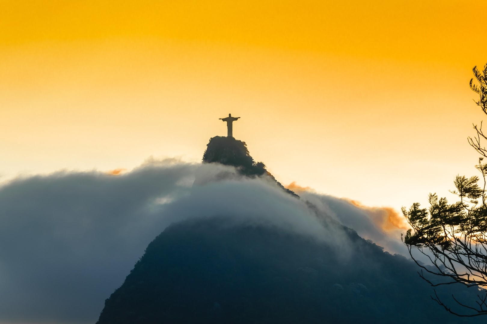 Gardênia Azul - Rio de Janeiro - RJ