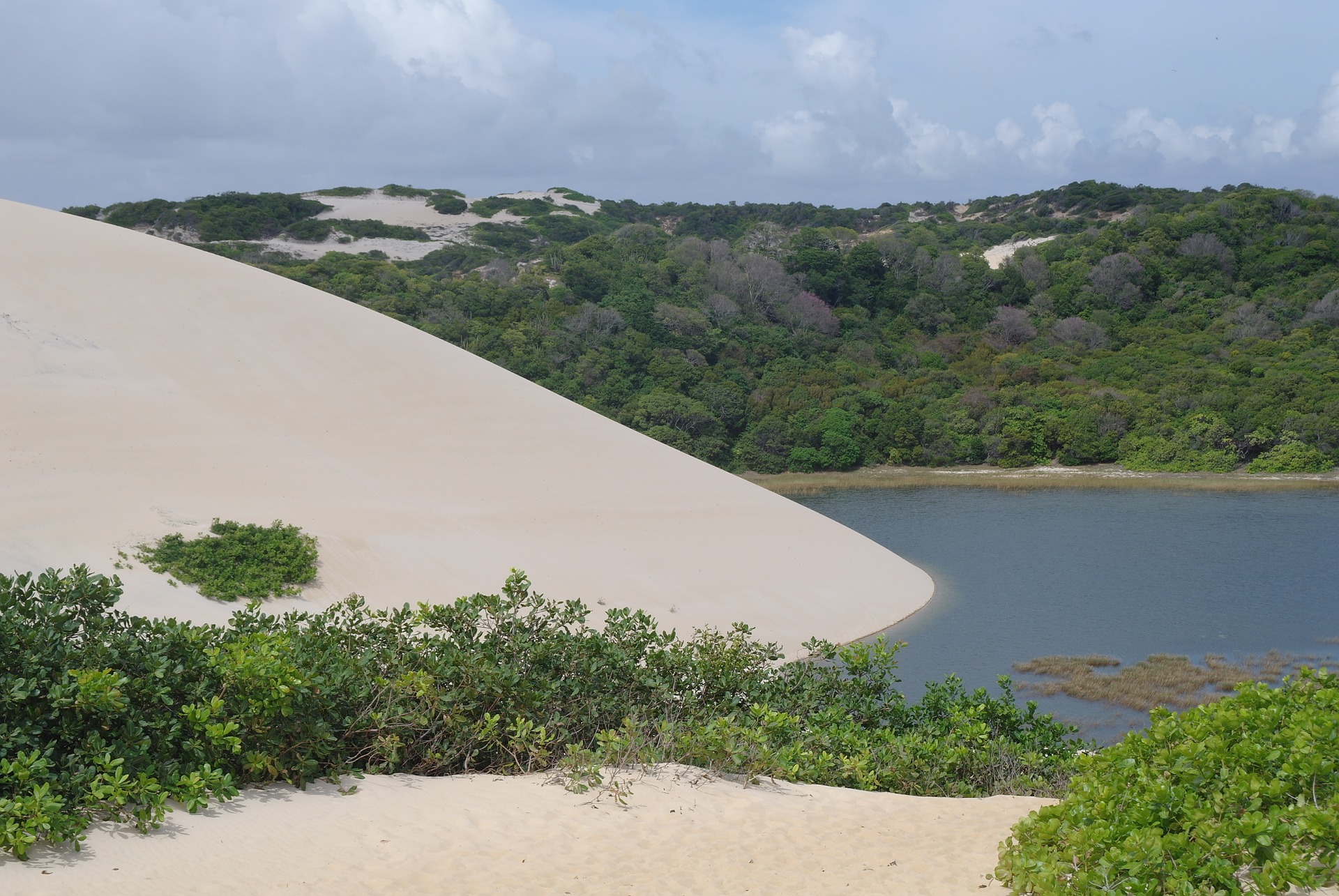 Pureza - Rio Grande do Norte