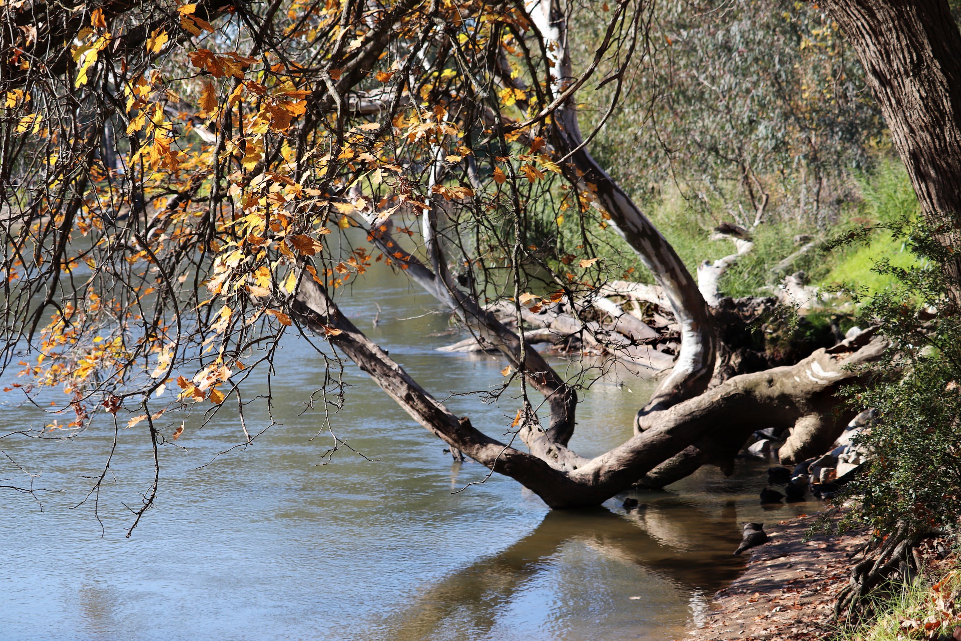 Vale do Anari - Rondônia